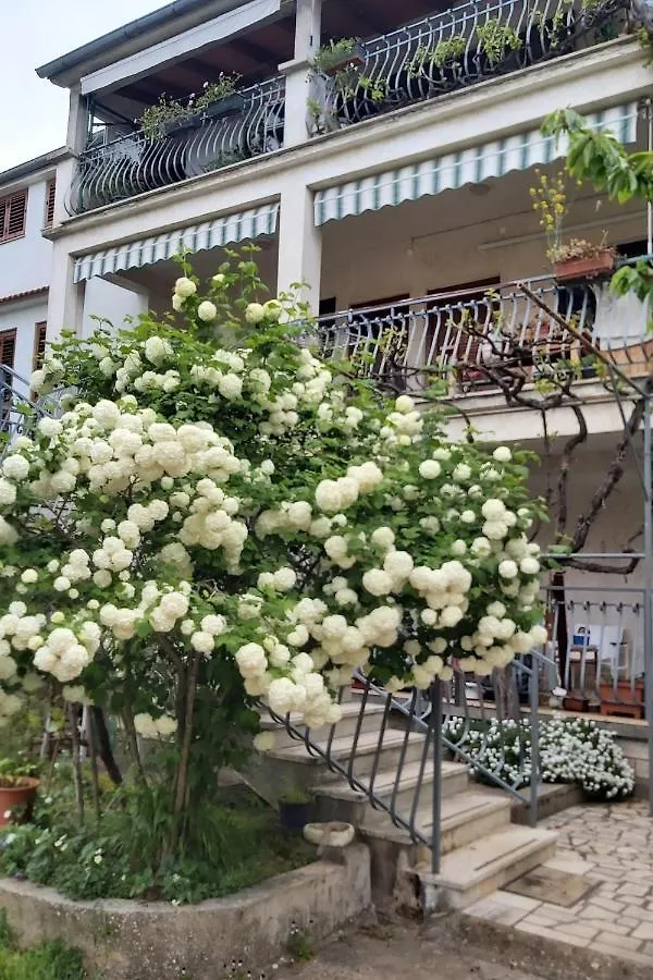 Guest house Apartments And Rooms By The Sea Rovinj - 19183 Croatia